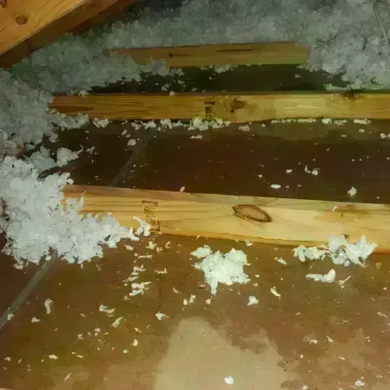 Attic Water Damage in Vonore, TN